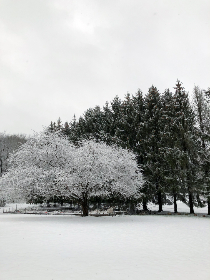 奈菲影视白嫖者联盟:共享资源与观影乐趣的最佳平台 奈菲影视白嫖者联盟:共享资源与观影乐趣的最佳平台
