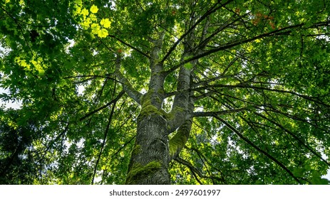 大米动漫在线观看免费:畅享最新热门动漫,随时随地尽情观看! 大米动漫在线观看免费:畅享最新热门动漫,随时随地尽情观看!